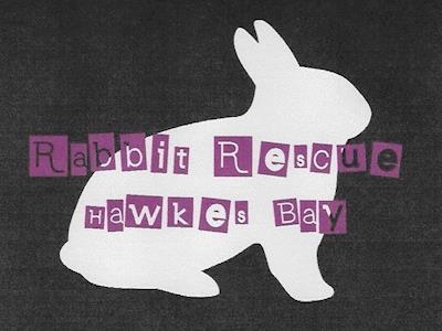 Rabbit Rescue Hawkes Bay