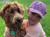 Help Gift a Kiwi Family a Therapy Dog's avatar