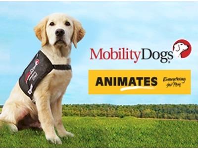 'Raise-a-Puppy' with Animates