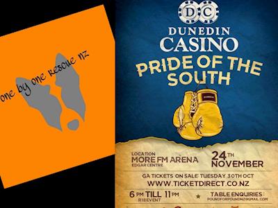 Fighting for Dunedin Dogs 