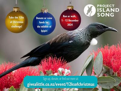 William is taking part in the Project Island Song’s 12ks of Christmas