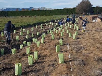 Mt Cook Half Marathon - Te Ara Kakariki Greenway Canterbury