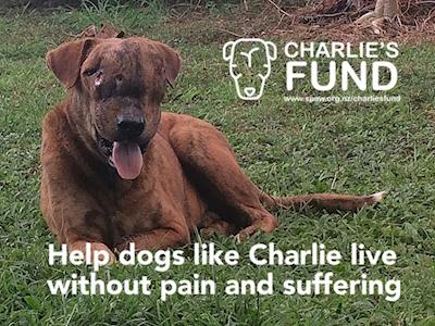 CHARLIE'S FUND