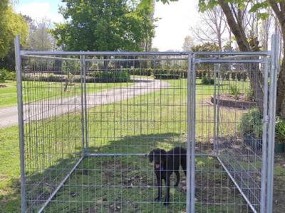 Time to Quarantine the pups! Dog Run / Pet Enclosure’s