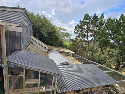 Rescue Centre Roof Replacement
