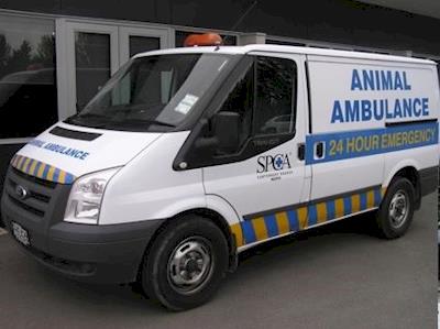SPCA Animal Emergency Ambulance for Canterbury - Urgent!
