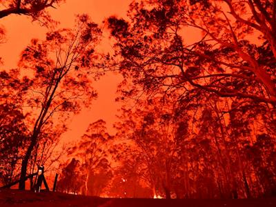 Australian Bushfires