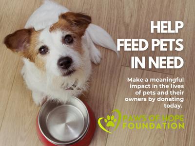 Feed their Bellies, Warm Their Hearts