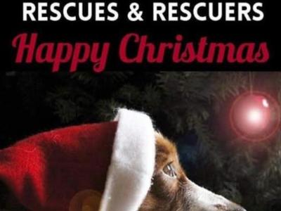 12"ish" strays of Christmas