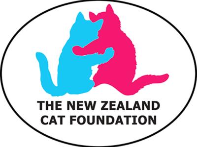 Fit-to-Fight for The New Zealand Cat Foundation