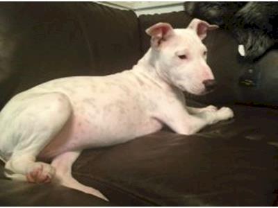 Bonnie needs your help