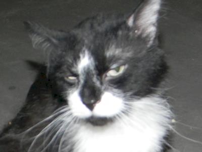 Our little girl needs thyroid surgery