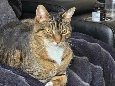 Help me find strength after loss