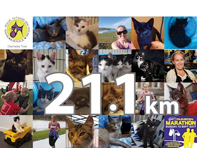 21.1km for Animal Rescue Network New Zealand
