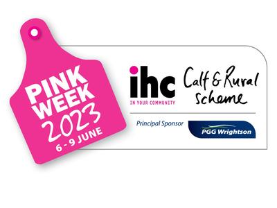 Rachel Shearer - Taking A Dive For IHC