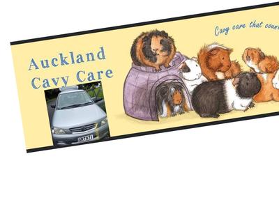 Lost car saving gunieas in the floods