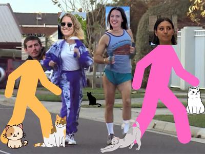 Steps For Gutter Kitties