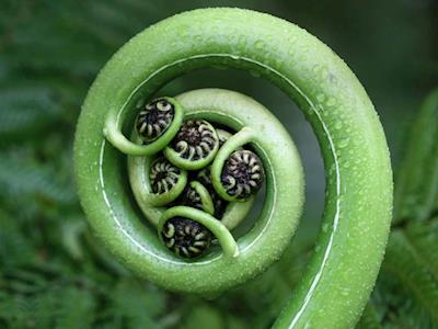 Branna's Birthday Fundraiser!