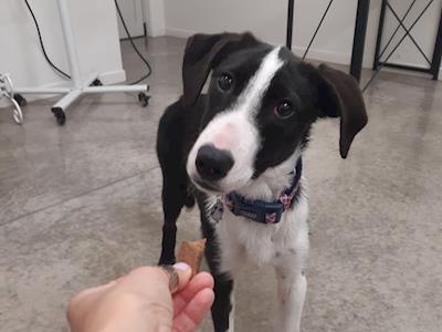 Raising funds for Zoe