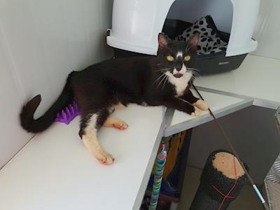 Sophie - Burned By Bleach