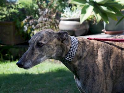 GAP Facebook Advert costs