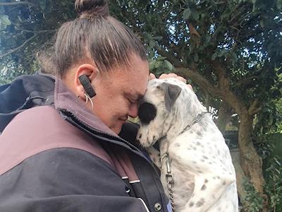 Bay of Islands Animal Rescue Trust