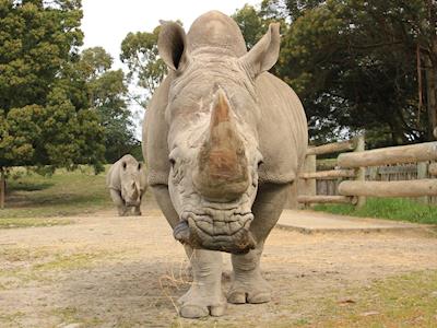 Orana Wildlife Trust