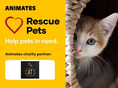For the Love of Cats in partnership with Animates