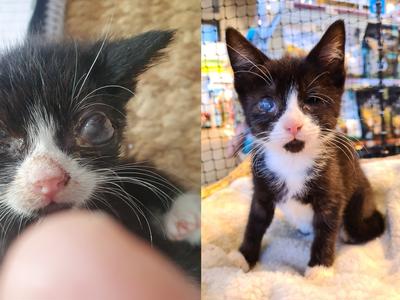 There’s no eye in team