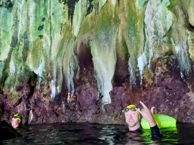 Swim the Queen Charlotte for Chopper