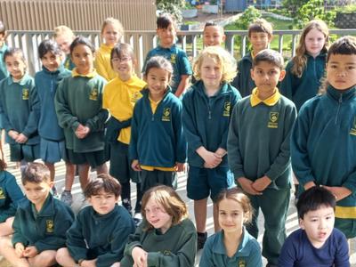 Kereru Miro - Mrs Arthur