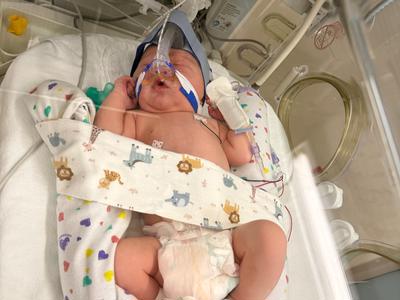 Little Steps, Big Impact