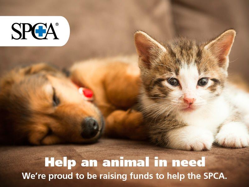 Animates April SPCA Donation Drive - Givealittle