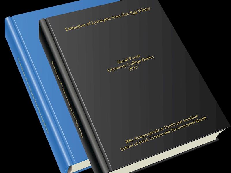 Complete my dissertation image