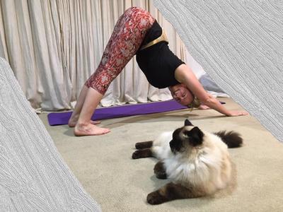 TempleTone with Kylie