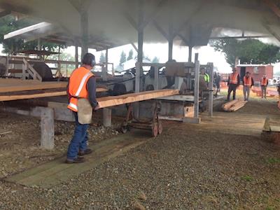 Health and safety requirements to ensure visitor and volunteer safety while working on site