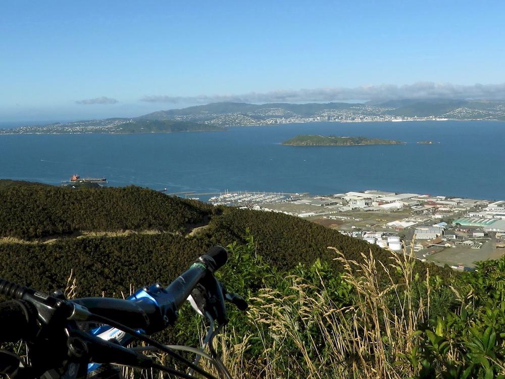 Wainui best sale trail project