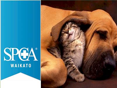 SPCA Waikato