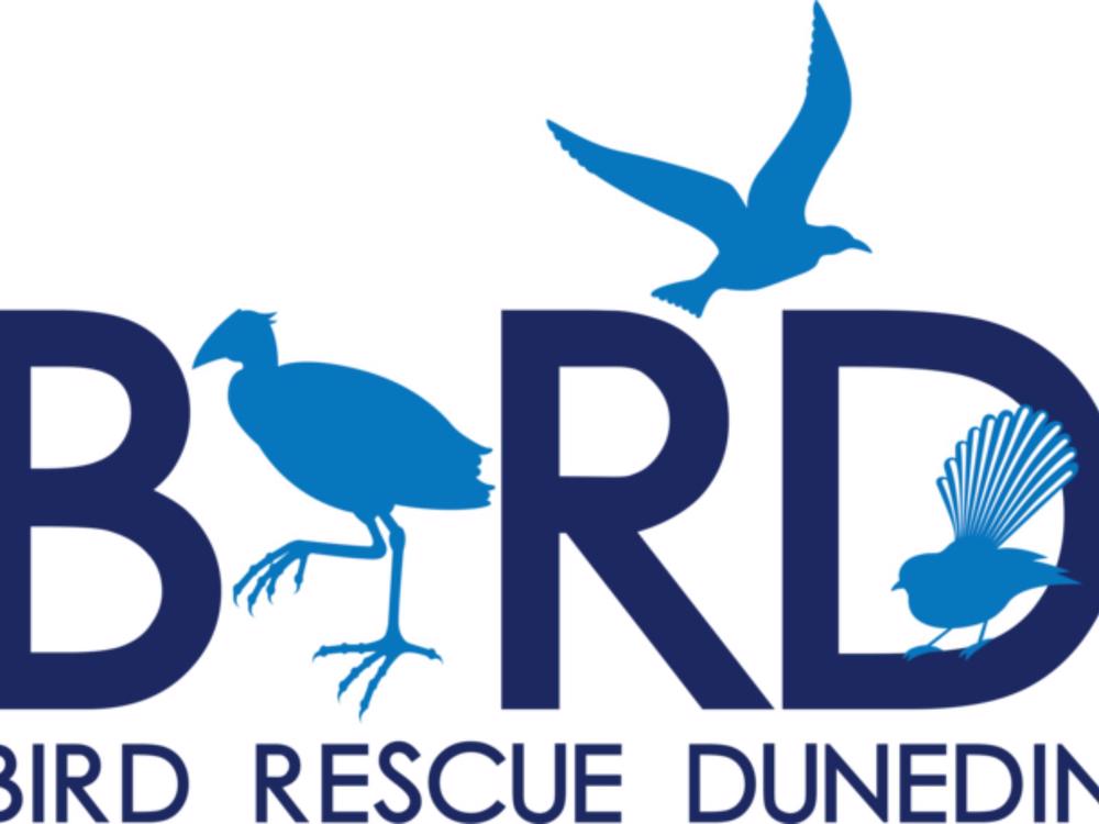 Bird Rescue Dunedin Givealittle