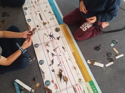 Te Ao Marama Montessori Trust