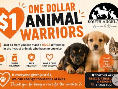 $1 Animal Warriors
