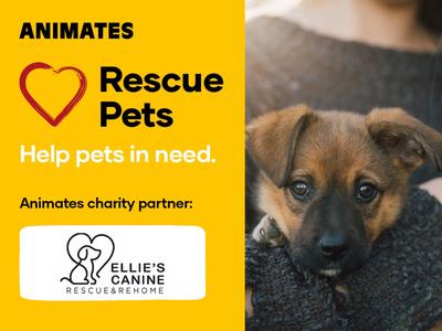 Animates Fundraiser - Proudly supporting Ellie's Canine Rescue