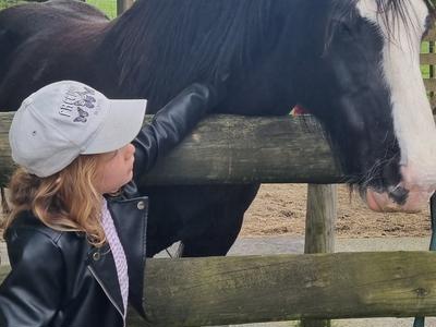 Kyla's Horse Riding Journey