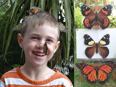 A Butterfly Garden Artwork for Ngā Manu Nature Reserve