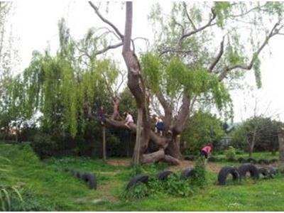 Tamariki School's On-going Legal Challenge