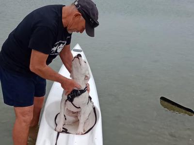 BE A SPONSOR & HELP SAVE A DOGS LIFE