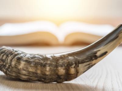 High Holy Day Appeal 2024