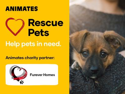 Animates Fundraiser - Proudly supporting Furever Homes
