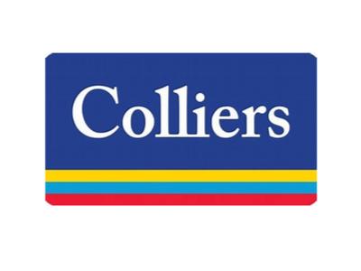 Colliers Crevasse Climbers - Colliers Team Everest Challenge 2024