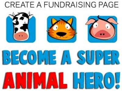 SAFE's Super Hero animal collector